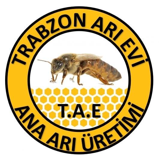 trabzon ari evi